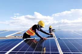 Nam Phương Energy lỗ tiếp 205 tỷ 6 tháng, gánh hơn 2.000 tỷ trái phiếu