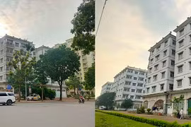 3 tòa tái định cư KĐT Sài Đồng hoang phế, “treo” hơn thập kỷ