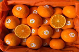 Giữa lúc cam, quýt tăng giá, nhiều loại trái cây sang chảnh rẻ bất ngờ