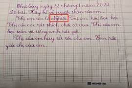 Em gái viết văn tả chị nhưng mắc lỗi khiến “nhân vật” chỉ muốn "độn thổ"