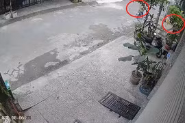 2 tên trộm ngang nhiên "rinh" đồ trước cửa nhà dân gây phẫn nộ