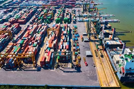 Vì sao lợi nhuận Viconship vẫn tăng trưởng âm?