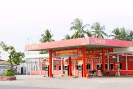 Hoạt động đấu thầu của Hải Hà Petro ra sao khi nợ thuế khủng hàng ngàn tỷ?