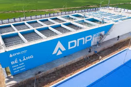  DNP Holding vi phạm thuế bị phạt gần 12 tỷ đồng 