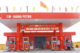 Lọt “tầm ngắm” kiểm tra kinh doanh xăng dầu, Hải Hà Petro làm ăn ra sao?