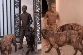 Người đàn ông dắt chó đi dạo, khi quay về vợ không nhận ra