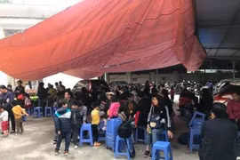 Gallery - Học sinh mắc sán lợn gạo ở Bắc Ninh - image 3