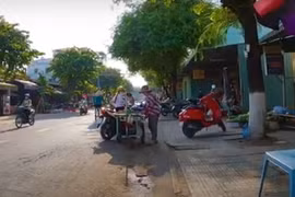Lý do Cty Cầu Phà TP HCM trượt gói cải tạo vỉa hè đường Lê Thị Hồng Gấm