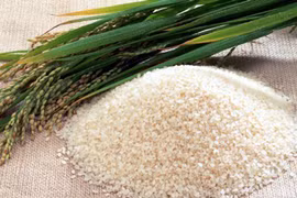 Vì sao ăn cơm nếp lại thấy khó tiêu?