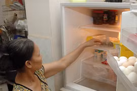 Tủ lạnh nhanh hỏng vì thịt nóng 