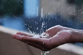 Nước mưa có khả năng gây bệnh