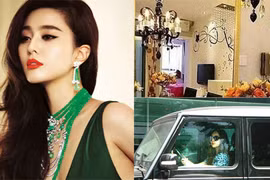 Gallery - Phạm Băng Băng - Võ Tắc Thiên - image 18