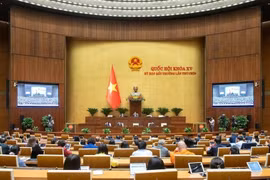 Thống nhất đổi tên “Kỳ họp bất thường” thành “Kỳ họp không thường lệ” 