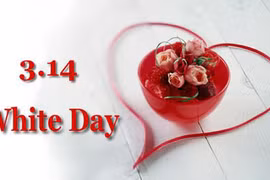Gallery - Valentine Trắng 2017 - image 10