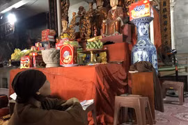 Gallery - Hà Nội bán cây sưa 100 tỷ  - image 2