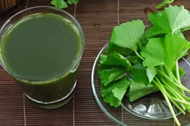 Những cách uống nước rau má sai lầm có thể chết người