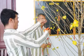 Chuyện ăn tết ở... tù