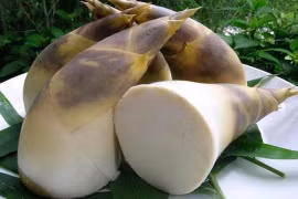 Ăn măng xanh mùa hè có thể hạ mỡ máu, thúc đẩy nhu động ruột 