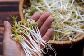 Gallery - GIÁ ĐỖ NGÂM HÓA CHẤT Ở BÁCH HÓA XANH - image 9