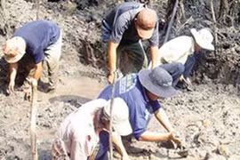 Bí ẩn những kho vàng chưa được giải mã ở Việt Nam