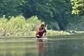 Hình ảnh nóng hổi vừa công bố chứng minh Bigfoot hoàn toàn có thật?