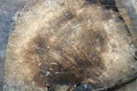 Mang thớt cũ đi thẩm định, thanh niên đổi đời trong phút mốt 