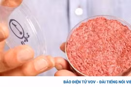 Nóng: Làm ra thịt nhân tạo từ phòng thí nghiệm