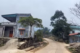 Quảng Ninh: Xây dựng Nam Kỳ trúng 2 gói thầu tại Bình Liêu