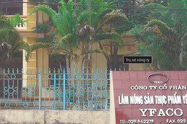 Doanh nghiệp vàng mã duy nhất lên sàn đang làm ăn ra sao?