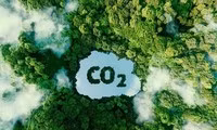 Loại bột nhân tạo hấp thụ CO2 tốt hơn cây xanh