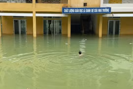 Nước dâng cao, thầy hiệu trưởng bơi vào trường kiểm tra cơ sở vật chất