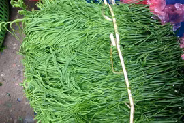 Đứng cách cả mét còn ngửi thấy mùi hôi, loại rau này lại đắt khách