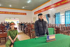 Mua pháo hoa lậu, nam thanh niên lãnh án tù 