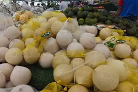Người kinh doanh bất ngờ khi dừa tươi tăng giá
