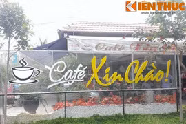 Gallery - Lùm Xùm Khởi Tố Chủ Quán Cà Phê Xin Chào - image 5