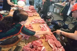 Dịch tả lợn châu Phi: Làm sao để chọn được thịt sạch?
