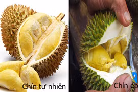 Gallery - Bạn nên biết - image 3