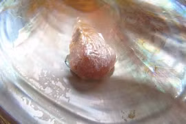 Sửng sốt những vụ tình cờ nhặt được ngọc quý tiền tỷ