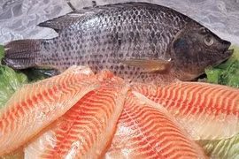 Phát hiện sốc: Ăn cá rô phi có thể bị ung thư