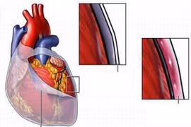 Bí mật đáng kinh ngạc của cơ thể con người