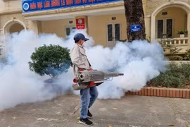 Hà Nội: Dịch sốt xuất huyết có thể tăng nhanh thời gian tới