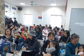 Gallery - Học sinh mắc sán lợn gạo ở Bắc Ninh - image 7