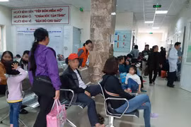 Gallery - Học sinh mắc sán lợn gạo ở Bắc Ninh - image 9
