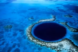 Ở độ sâu 10.000m, các nhà khoa học phát hiện ra thứ đáng sợ