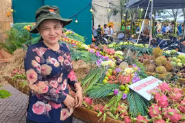 Gallery - XEM-NGHE - image 5