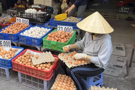 Trứng gà, trứng vịt giá rẻ bán tràn lan khó kiểm soát nguồn gốc
