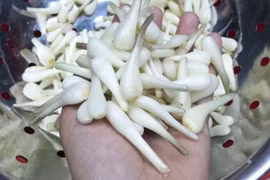 Gallery - Sự Cố Thủy Điện Sông Bung 2 - image 15