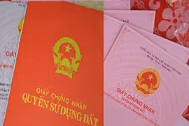 Chậm cấp sổ đỏ, Chủ tịch TP Quảng Ngãi xin lỗi người dân