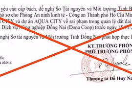 Nam Long Group nói gì về tin đồn liên quan dự án Izumi City?