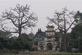 Chùa của ai?